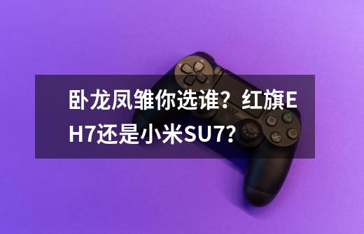 卧龙凤雏你选谁？红旗EH7还是小米SU7？-第1张-游戏相关-泓泰