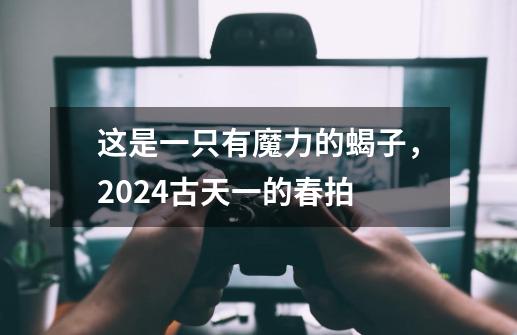 这是一只有魔力的蝎子，2024古天一的春拍-第1张-游戏相关-泓泰