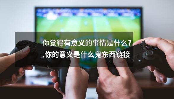 你觉得有意义的事情是什么？,你的意义是什么鬼东西链接-第1张-游戏相关-泓泰