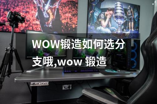 WOW锻造如何选分支哦,wow 锻造-第1张-游戏相关-泓泰