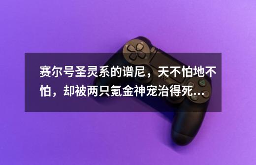 赛尔号圣灵系的谱尼，天不怕地不怕，却被两只氪金神宠治得死死的-第1张-游戏相关-泓泰