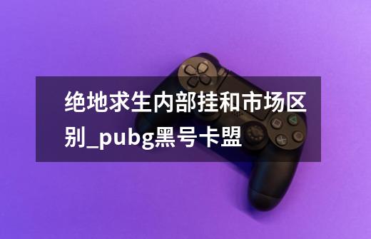 绝地求生内部挂和市场区别_pubg黑号卡盟-第1张-游戏相关-泓泰