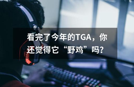 看完了今年的TGA，你还觉得它“野鸡”吗？-第1张-游戏相关-泓泰