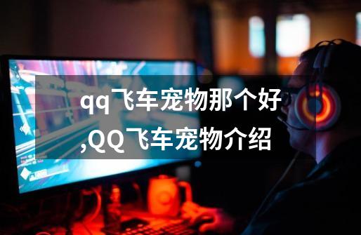 qq飞车宠物那个好,QQ飞车宠物介绍-第1张-游戏相关-泓泰