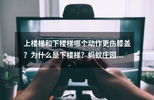 上楼梯和下楼梯哪个动作更伤膝盖？为什么是下楼梯？蚂蚁庄园今日答案-第1张-游戏相关-泓泰