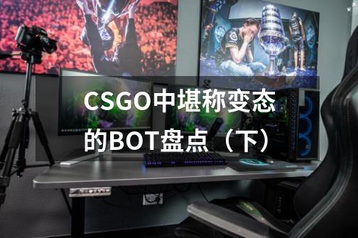 CSGO中堪称变态的BOT盘点（下）-第1张-游戏相关-泓泰