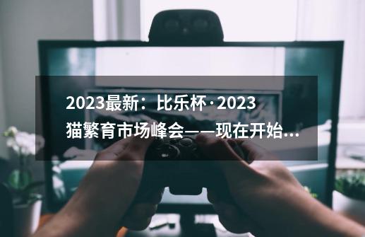 2023最新：比乐杯·2023猫繁育市场峰会——现在开始报名啦！-第1张-游戏相关-泓泰