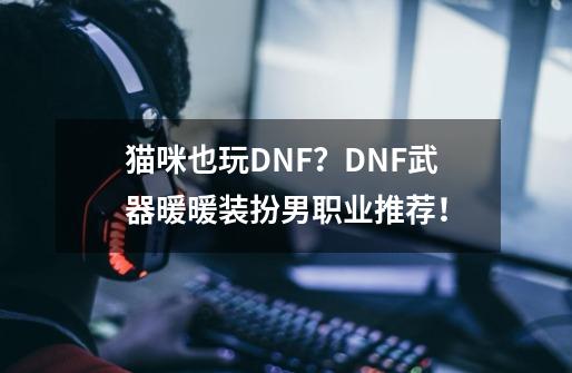 猫咪也玩DNF？DNF武器暖暖装扮男职业推荐！-第1张-游戏相关-泓泰