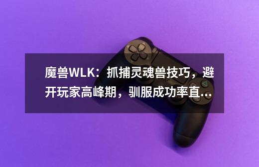 魔兽WLK：抓捕灵魂兽技巧，避开玩家高峰期，驯服成功率直接翻倍-第1张-游戏相关-泓泰