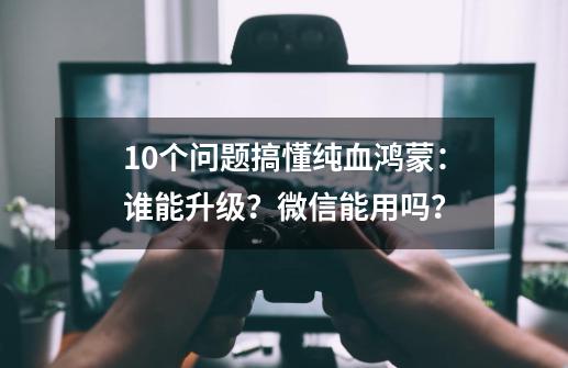 10个问题搞懂纯血鸿蒙：谁能升级？微信能用吗？-第1张-游戏相关-泓泰