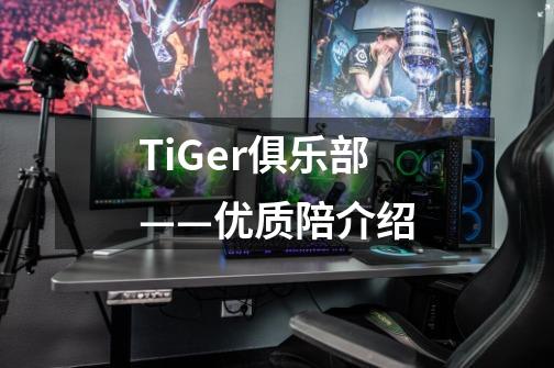 TiGer俱乐部——优质陪介绍-第1张-游戏相关-泓泰