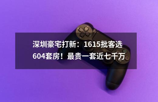 深圳豪宅打新：1615批客选604套房！最贵一套近七千万-第1张-游戏相关-泓泰