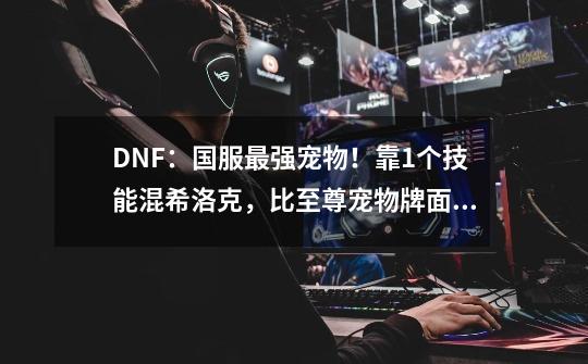 DNF：国服最强宠物！靠1个技能混希洛克，比至尊宠物牌面还大-第1张-游戏相关-泓泰