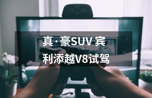 真·豪SUV 宾利添越V8试驾-第1张-游戏相关-泓泰