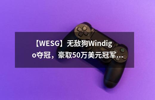 【WESG】无敌狗Windigo夺冠，豪取50万美元冠军奖金！-第1张-游戏相关-泓泰