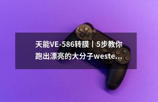 天能VE-586转膜丨5步教你跑出漂亮的大分子western-blot图诀窍-第1张-游戏相关-泓泰